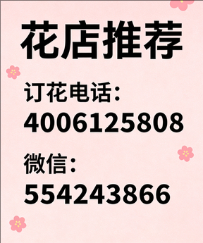 雅安荥经县花店哪家好